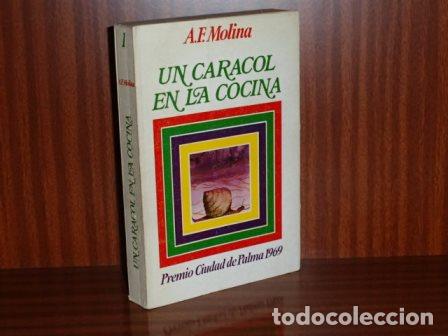 Libros: UN CARACOL EN LA COCINA - Molina, A. F.