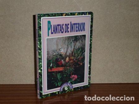 Libros: PLANTAS DE INTERIOR - Nessmann, Pierre - Foto 1