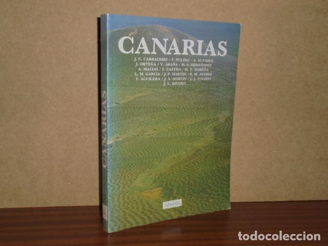 B&uuml;cher: CANARIAS - VV. AA. - Carracedo - Pulido - &Aacute;lvarez y otros