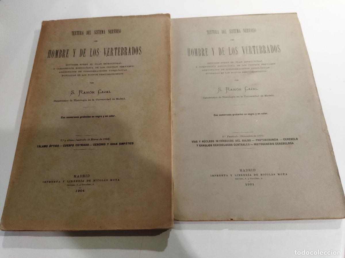 Libri di seconda mano: TEXTURA DEL SISTEMA NERVIOSO DEL HOMBRE Y DE LOS VERTEBRADOS. FASCICULOS 5 Y 7 DEL TOMO II. - RAM&Oacute;N