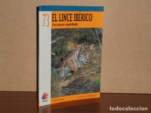 Livres: EL LINCE IB&Eacute;RICO - Un tesoro expoliado - Pereira, Pablo - Jos&eacute; Luis Rodr&iacute;guez