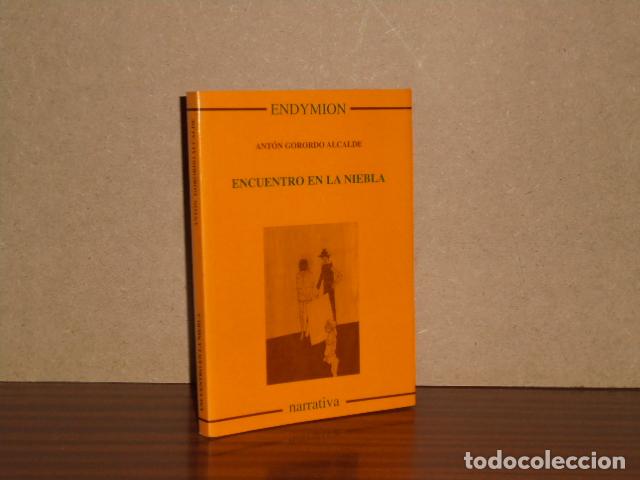 Libri di seconda mano: ENCUENTRO EN LA NIEBLA - Gorordo Alcalde, Ant&oacute;n