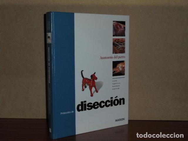 books: ANATOM&Iacute;A DEL PERRO - PROTOCOLOS DE DISECCI&Oacute;N - VV. AA. - Julio Gil - Miguel Gimeno - Jes&uacute;s Laborda -