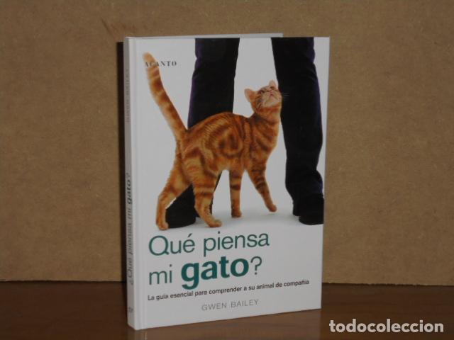 books: QU&Eacute; PIENSA MI GATO? - Bailey, Gwen