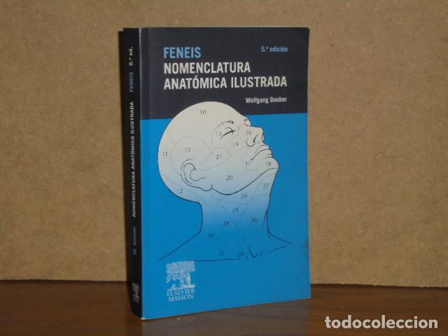 Libri di seconda mano: FENEIS - NOMENCLATURA ANAT&Oacute;MICA ILUSTRADA - Dauber, Wolfgang en continuaci&oacute;n de la obra de Heinz Fen