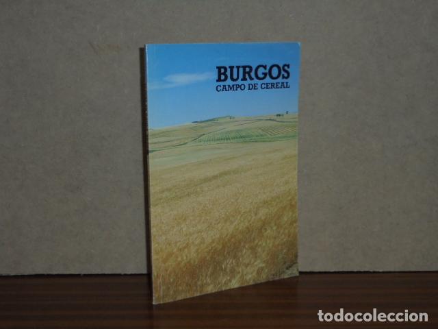 Libros: BURGOS - Campo de cereal - Cruz, Valent&iacute;n de la - Foto 1