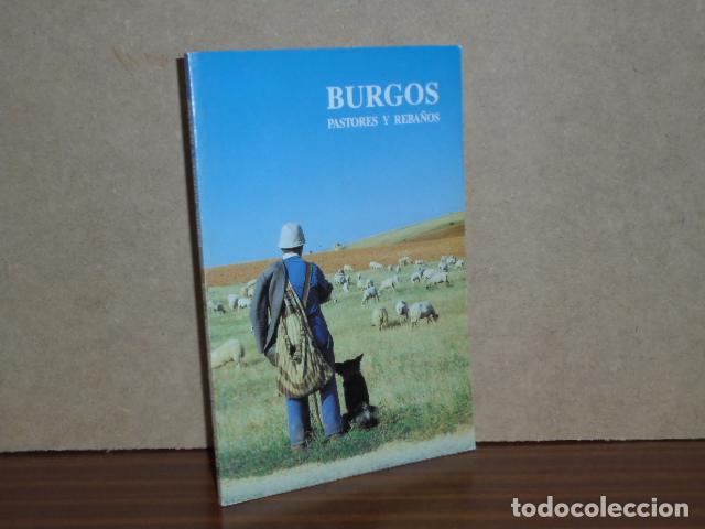 Libri di seconda mano: BURGOS - Pastores y reba&ntilde;os - Cruz, Valent&iacute;n de la