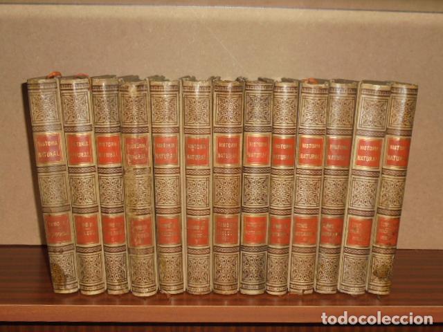 Libri di seconda mano: HISTORIA NATURAL - 13 TOMOS - Antropolog&iacute;a - Zoolog&iacute;a - Bot&aacute;nica - Mineralog&iacute;a y Geolog&iacute;a - VV. AA.