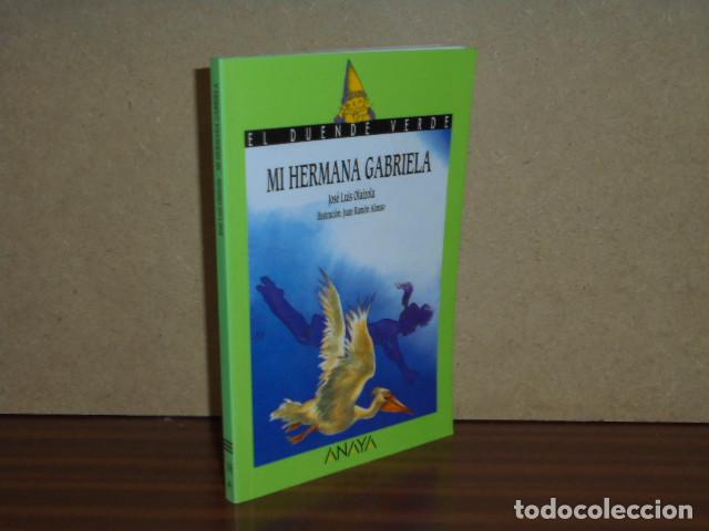 Libri di seconda mano: Mi hermana Gabriela - Olaizola, Jos&eacute; Luis