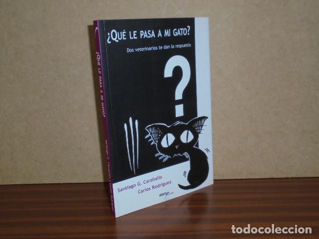 books: &iquest;QU&Eacute; LE PASA A MI GATO? - Dos veterinarios te dan la respuesta - Garc&iacute;a Caraballo, Santiago - Carlos