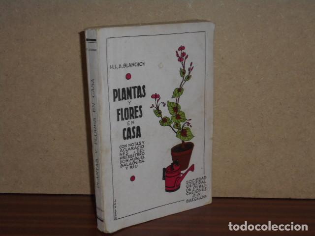 Libri di seconda mano: PLANTAS Y FLORES EN CASA - Blanchon, H. L. A.