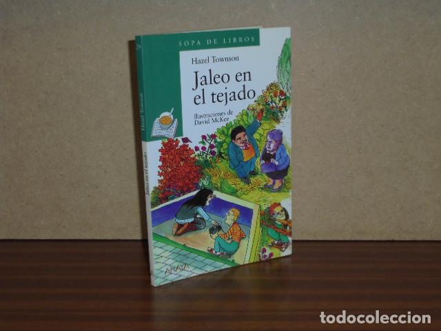 B&uuml;cher: Jaleo en el tejado - Townson, Hazel
