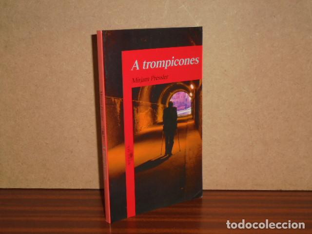 Libros: A trompicones - Mirjam Pressler - Foto 1