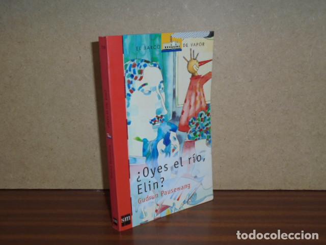 B&uuml;cher: Oyes el r&iacute;o, Elin? - Pausewang, Gudrun
