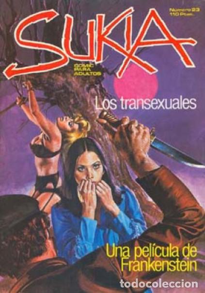 Libros: LOS TRANSEXUALES / UNA PEL&Iacute;CULA DE FRANKENSTEIN - Varios Autores