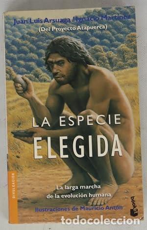 Libros: LA ESPECIE ELEGIDA - Arsuaga/Mart&iacute;nez - Foto 1