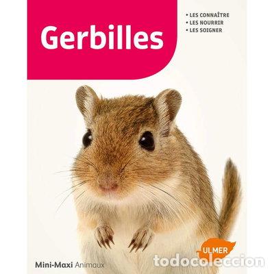 Libros: Gerbilles- 9782841388905