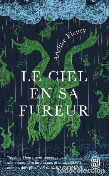 books: Le ciel en sa fureur- 9782290406816