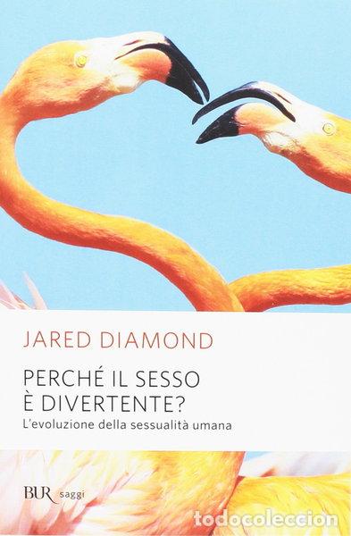 Livres: Perch&eacute; il sesso &egrave; divertente?- 9788817013529
