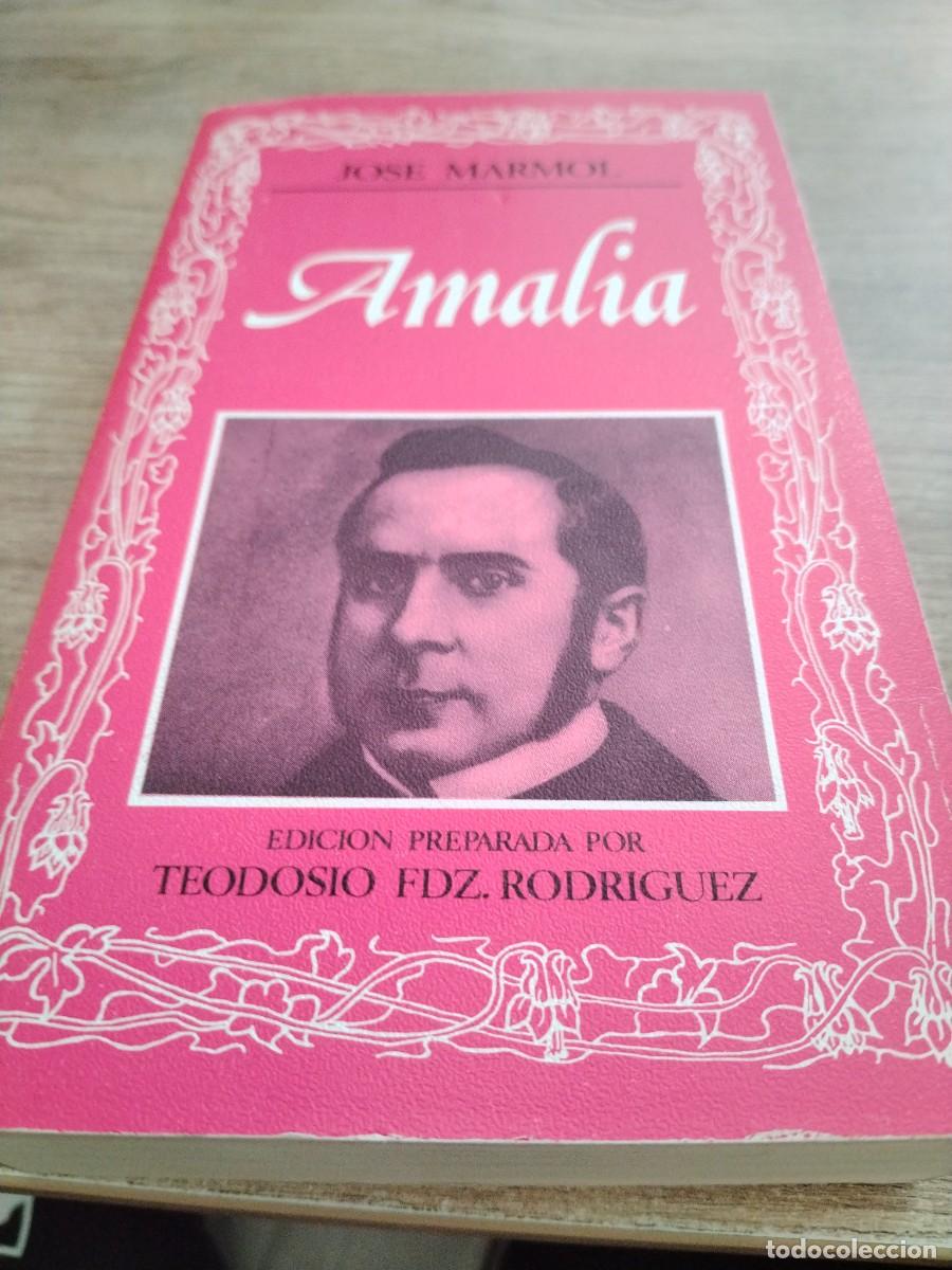 Libros: EDITORA NACIONAL AMALIA - Foto 1
