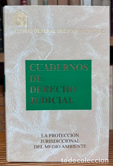 Libros: LA PROTECCION JURISDICCIONAL DEL MEDIO AMBIENTE - RUIZ-RICO RUIZ, Gerardo
