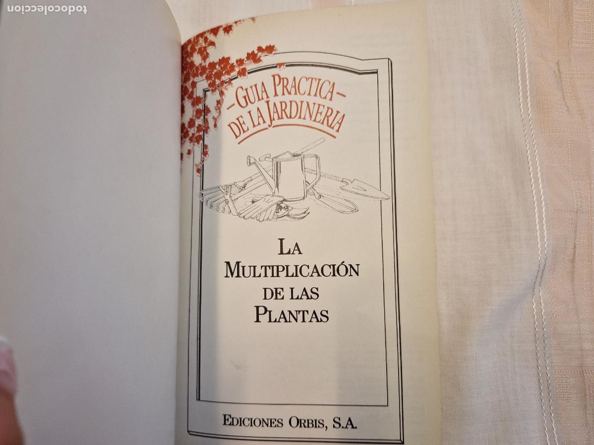 Libros: GUIA PRACTICA DE LA JARDINERIA. LA MULTIPLICACION DE LAS PLANTAS. EDICIONES ORBIS, S.A