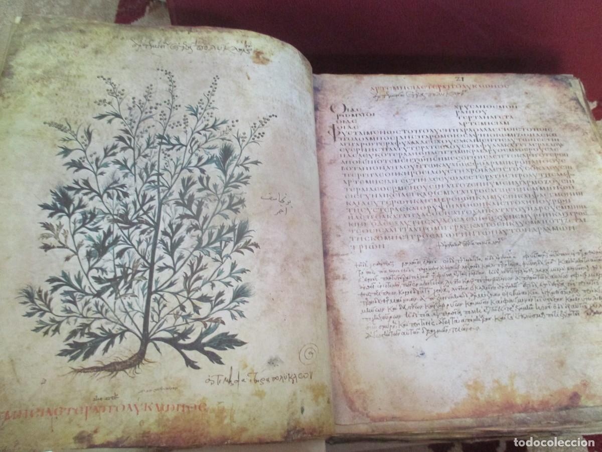 Libros: DIOSCURIDES (Facsimil + estudio) W41415 - Foto 5