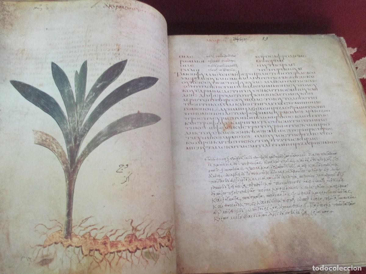 Libros: DIOSCURIDES (Facsimil + estudio) W41415 - Foto 6