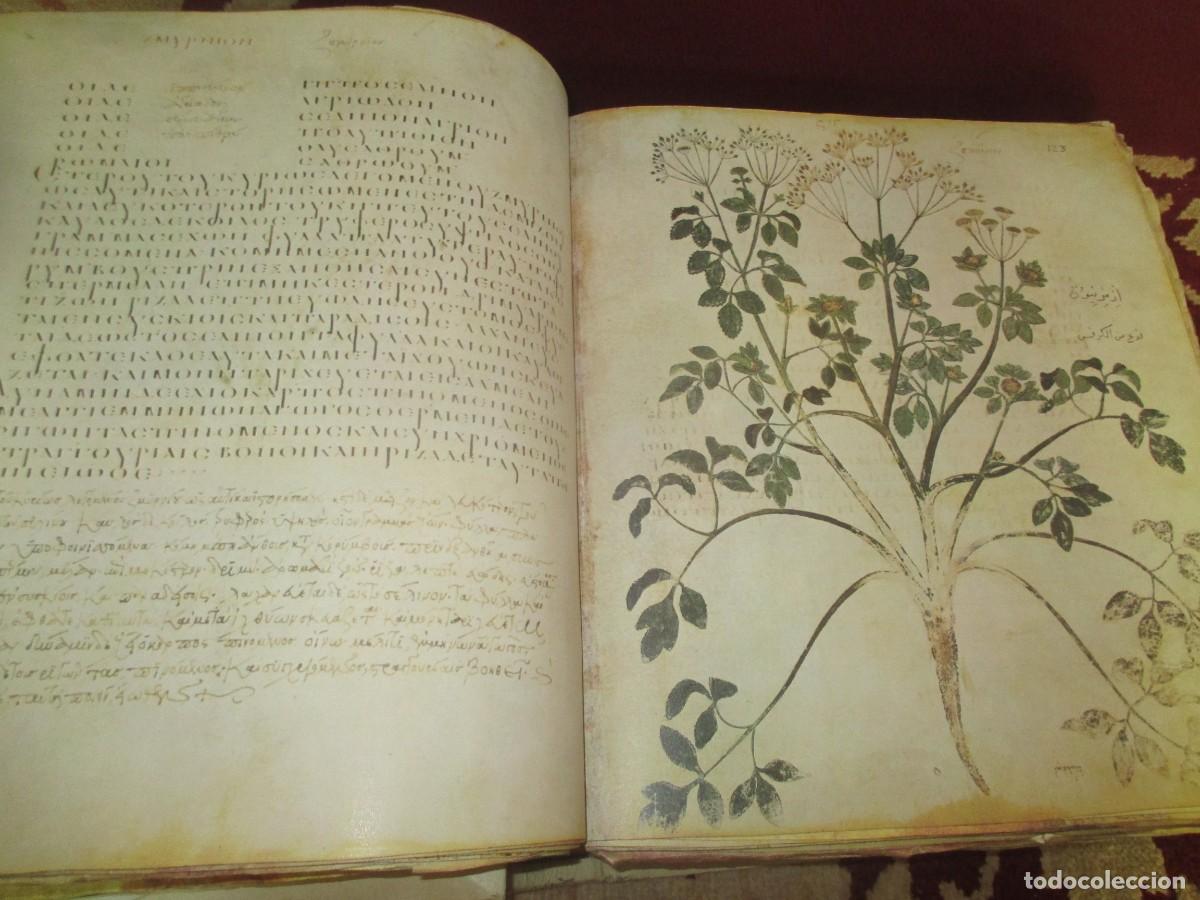 Libros: DIOSCURIDES (Facsimil + estudio) W41415 - Foto 7