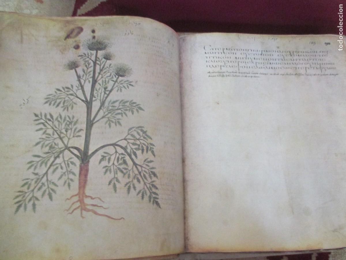 Libros: DIOSCURIDES (Facsimil + estudio) W41415 - Foto 8