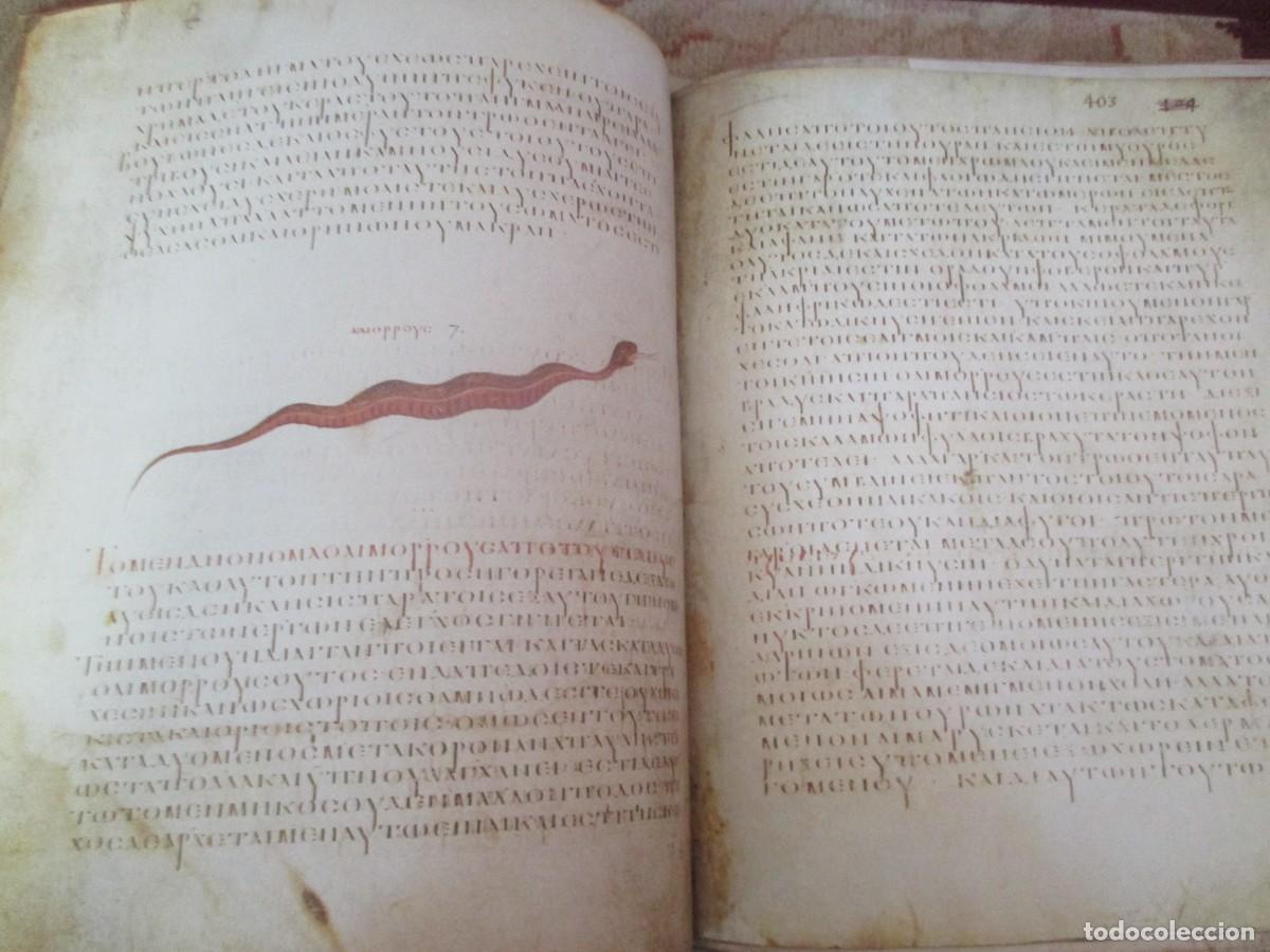 Libros: DIOSCURIDES (Facsimil + estudio) W41415 - Foto 9