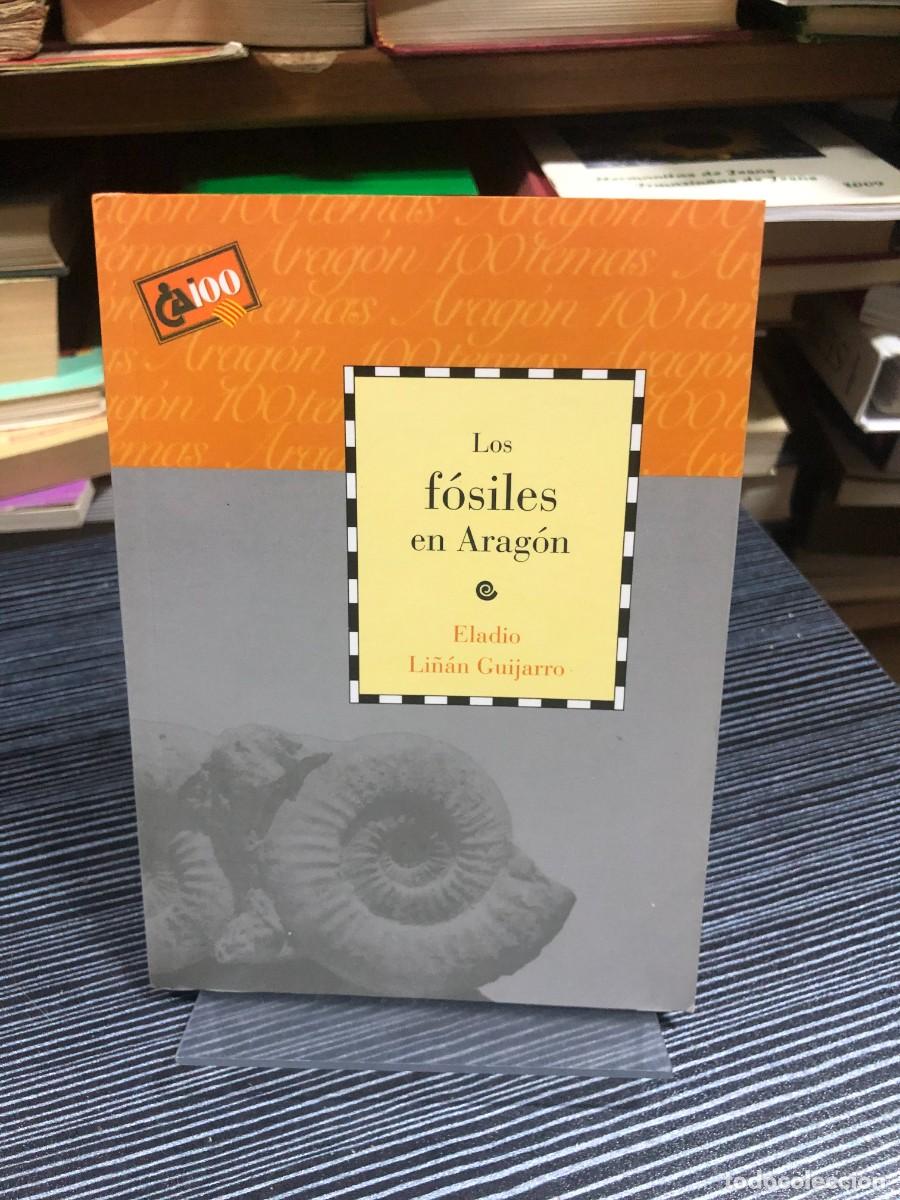 Libros: Los f&oacute;siles en Arag&oacute;n Eladio Li&ntilde;&aacute;n Guijarro