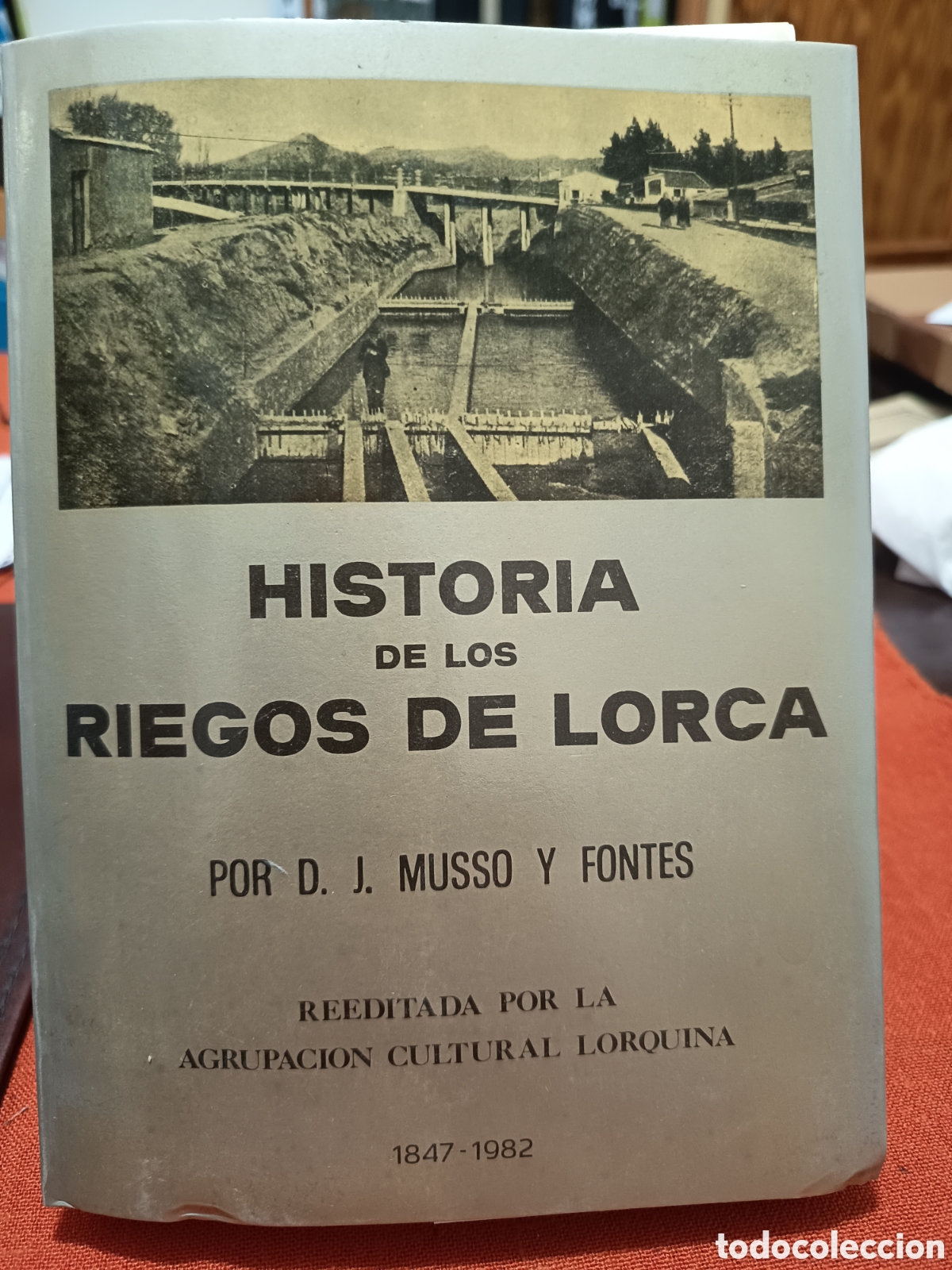 Libros: Historia de los Riegos de Lorca