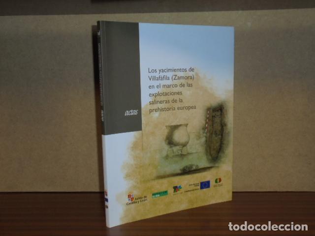 Libros: LOS YACIMIENTOS DE VILLAF&Aacute;FILA (Zamora) EN EL MARCO DE LAS EXPLOTACIONES SALINERAS DE LA PREHISTORIA