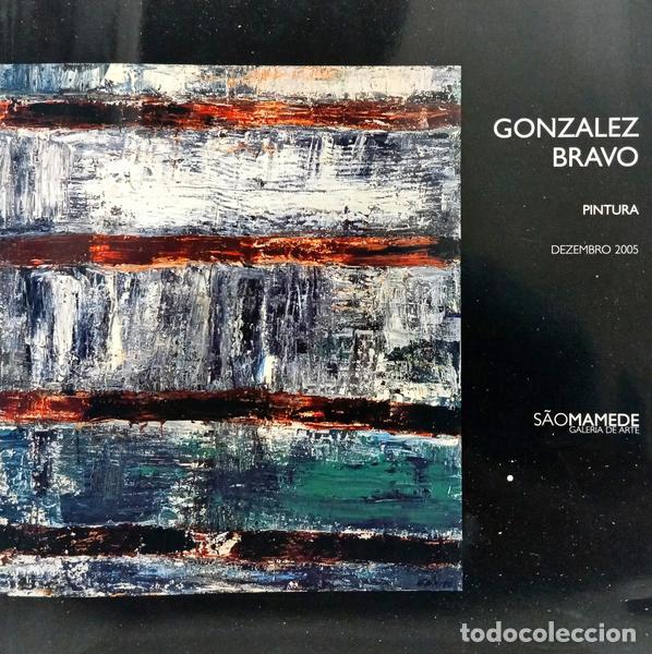 Libros: BRAVO. (Gonzalez) e Silvia Chic&oacute;. - PINTURA. - Foto 1