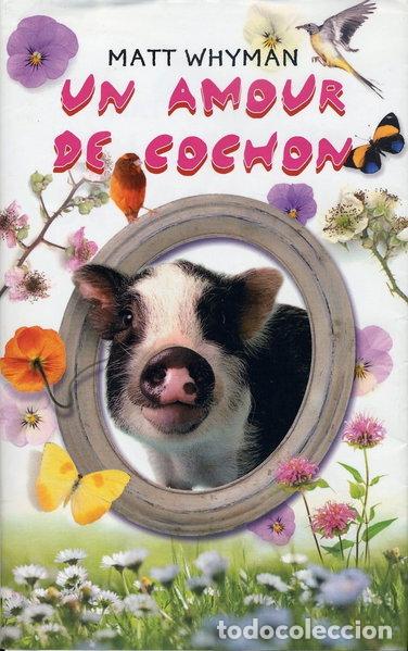 Libros: Un amour de cochon- 9782298045338