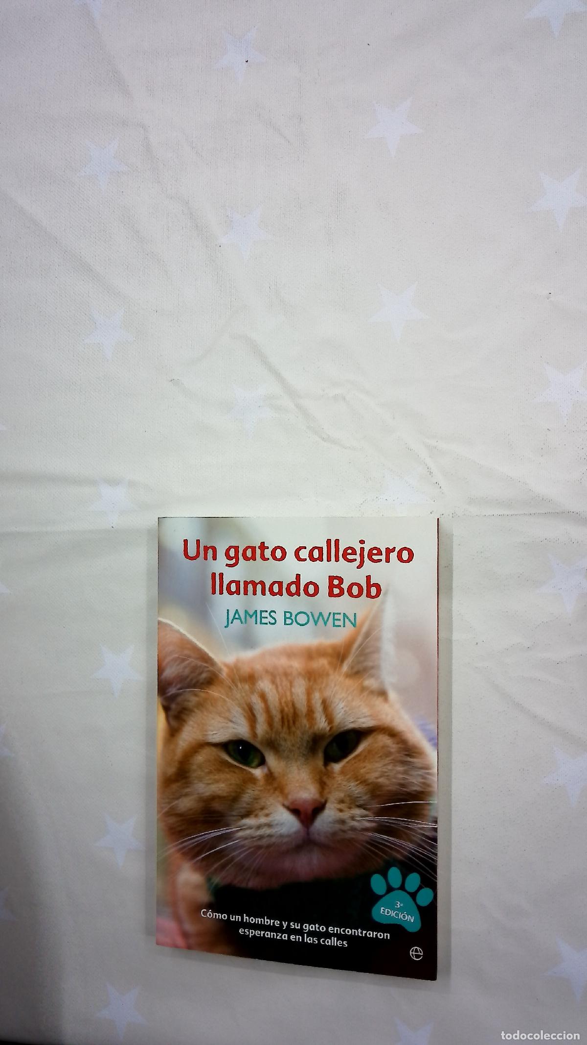 Libros: Un gato callejero llamado Bob : c&oacute;mo un hombre y su gato encontraron esperanza en las calles