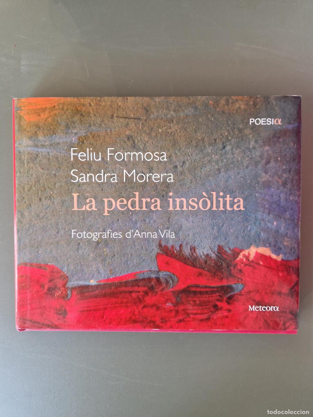 Libros: La pedra ins&ograve;lita - Feliu Formosa, Sandra Morera, Anna Vila