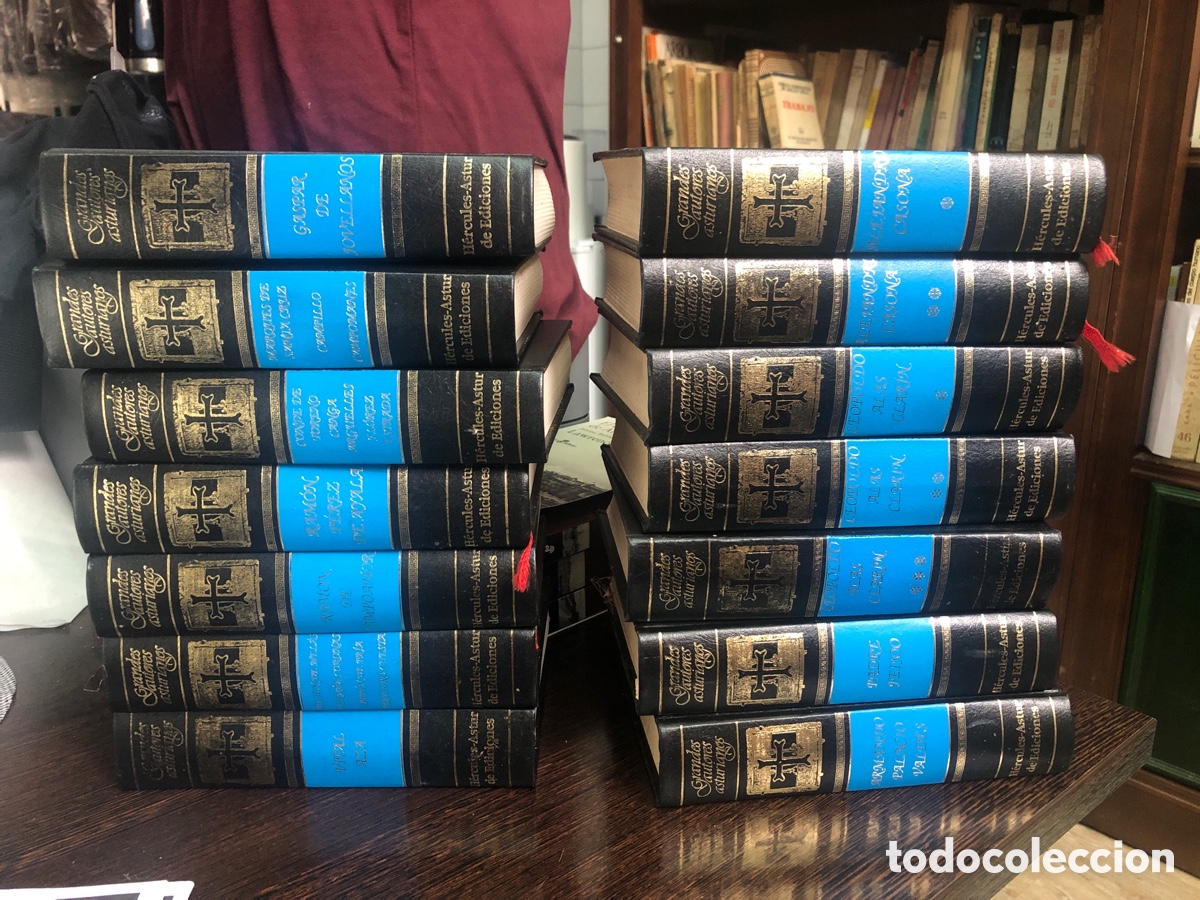 Libros: COLECCION DE 14 LIBROS DE GRANDES AUTORES ASTURIANOS DE HERCULES ASTUR EDICIONES