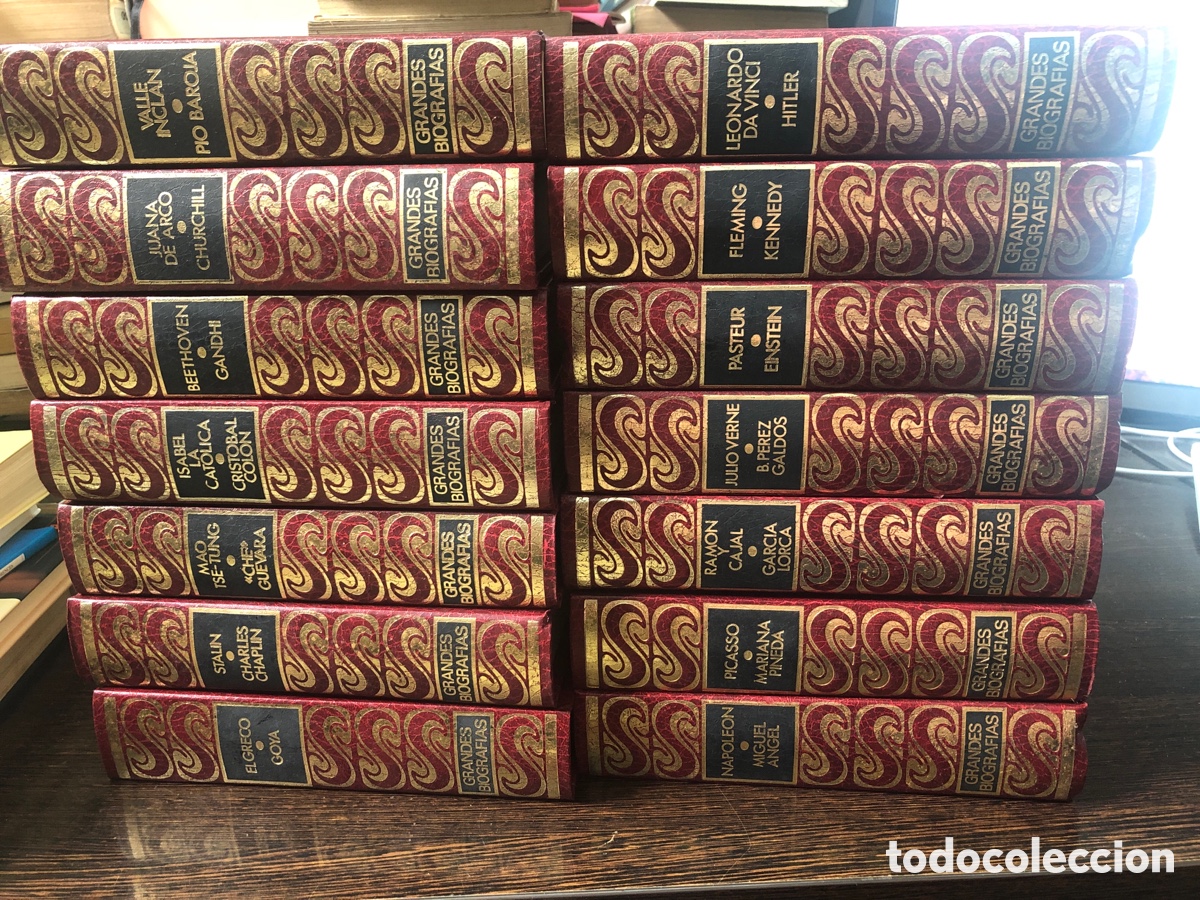 Libros: COLECCI&Oacute;N GRANDES BIOGRAFIAS 14 TOMOS PASTEUR, EISNTEIN KENNEDY, VERNE, HITLER, LORCA, COLON, GOYA