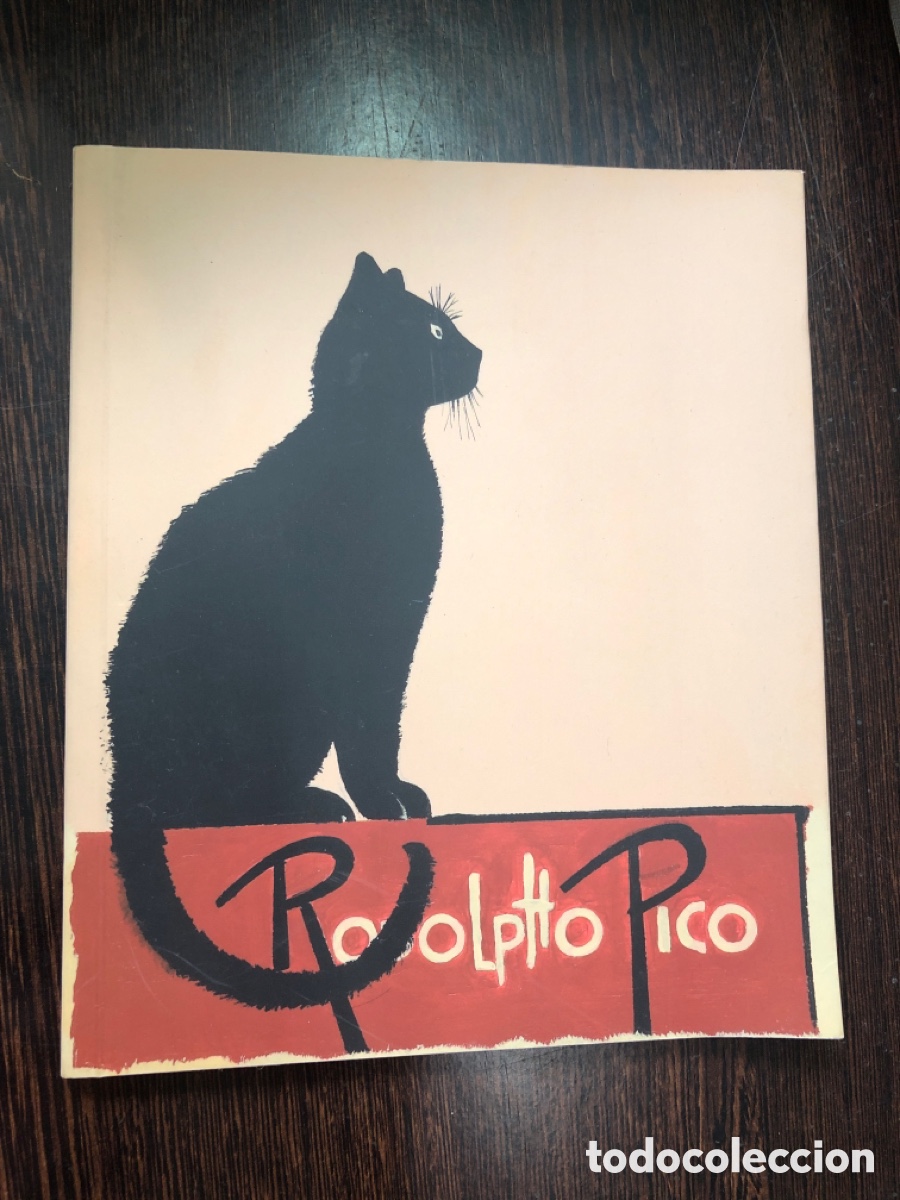Libros: RODOLFO PICO UNA UNA GEOMETRIA SONRIENTE EXPOSICION MUSEO EVARISTO VALLE