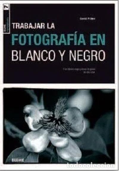 Libri di seconda mano: Blume fotograf&iacute;a. Fotograf&iacute;a en blanco y negro- 9788480769204