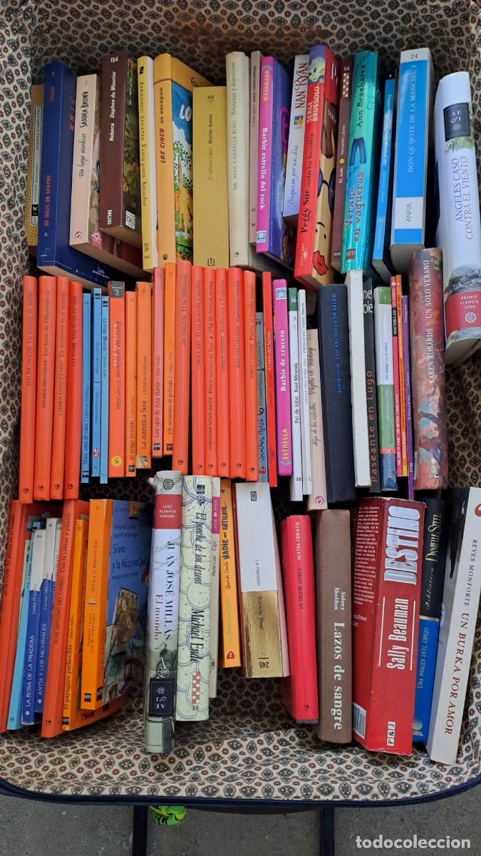 Libros: Lote de +45 Libros Variados (Narrativa, Intriga, Juvenil y Literatura en Gallego)