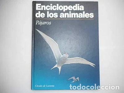 Libri di seconda mano: Enciclopedia de los Animales. P&aacute;jaros- 9788422635345