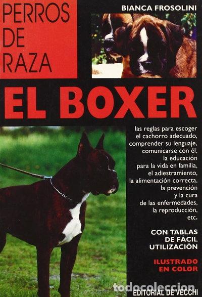 Libros: El boxer- 9788431514471