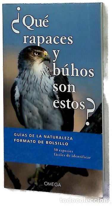 Livres: &iquest;Qu&eacute; rapaces y b&uacute;hos son estos?