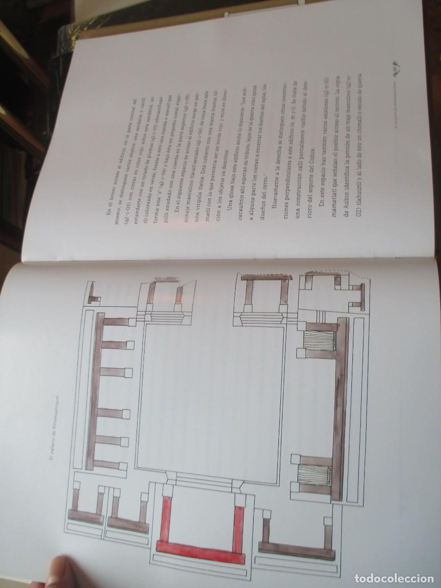 Libros: LUZ MAR&Iacute;A MOHAR C&oacute;dice mapa Quinatzin (libro+mapa+DVD W41437 - Foto 4