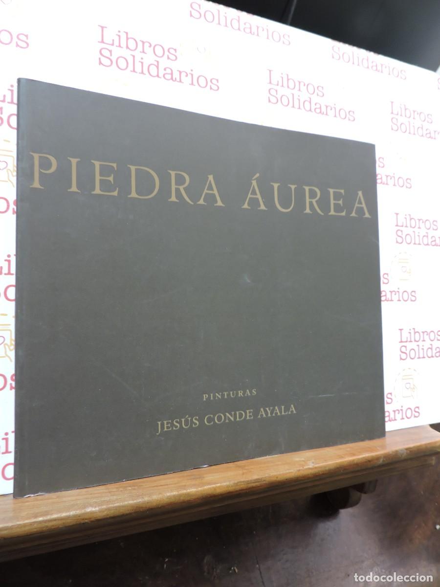 Libri di seconda mano: Piedra &Aacute;urea. Pinturas de Jes&uacute;s Conde Ayala. Exposici&oacute;n Itinerante. Ed. Caja de Granada. 2002
