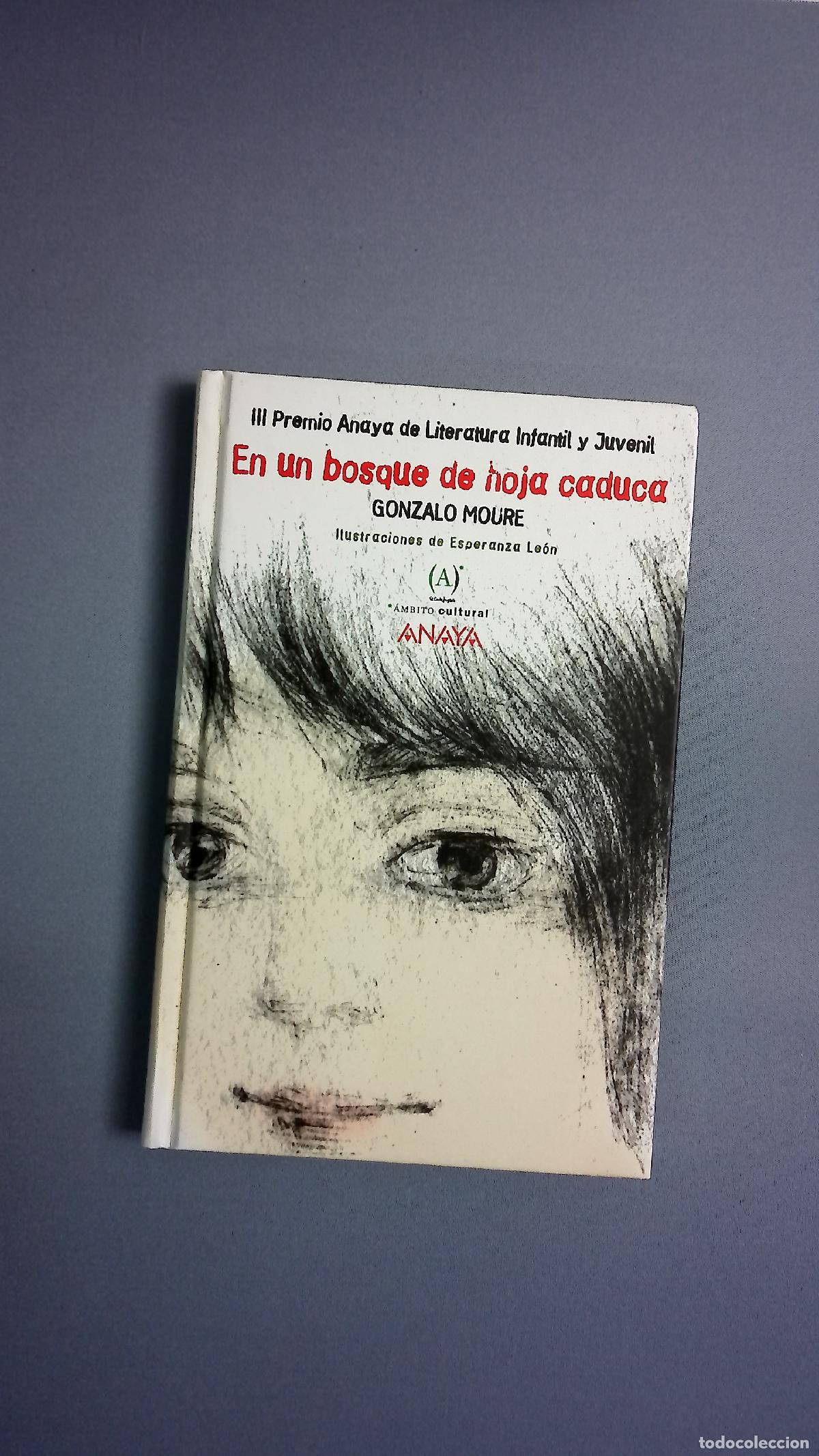 books: En un bosque de hoja caduca