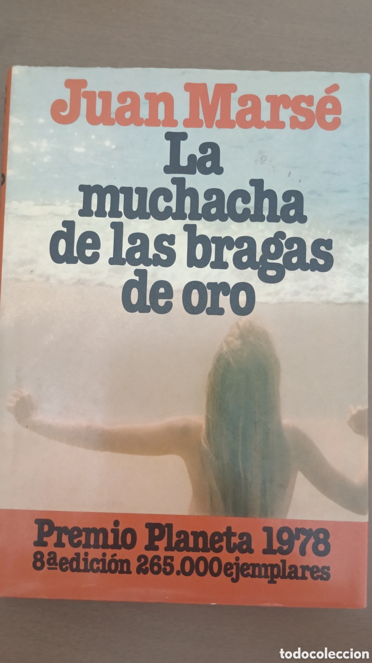 Libros: La muchacha de las bragas de oro